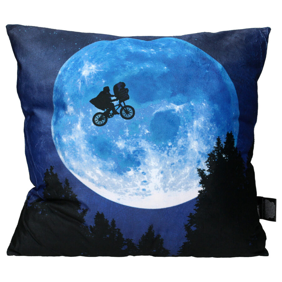 COJIN CUADRADO 45x45CM ENVASADO VACIO POSTER E.T.