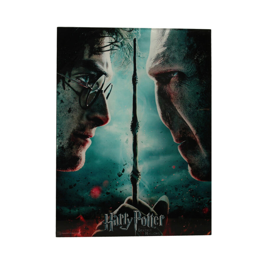 HARRY POTTER Y VOLDEMORT POSTER DE VIDRIO 30x40 HARRY POTTER
