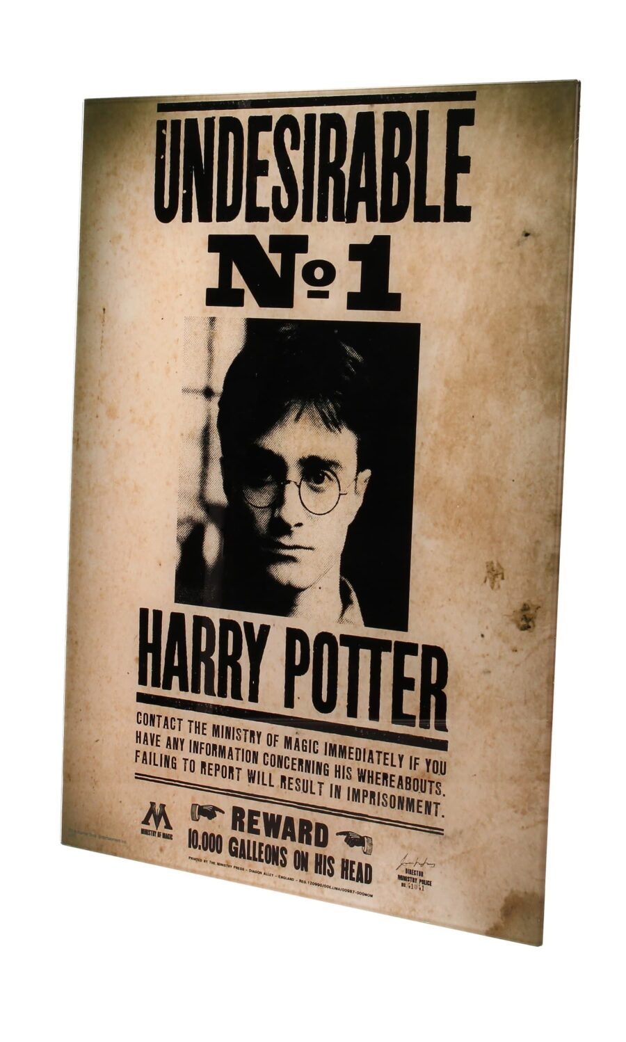INDESEABLE N_1 POSTER DE VIDRIO 30x40 HARRY POTTER