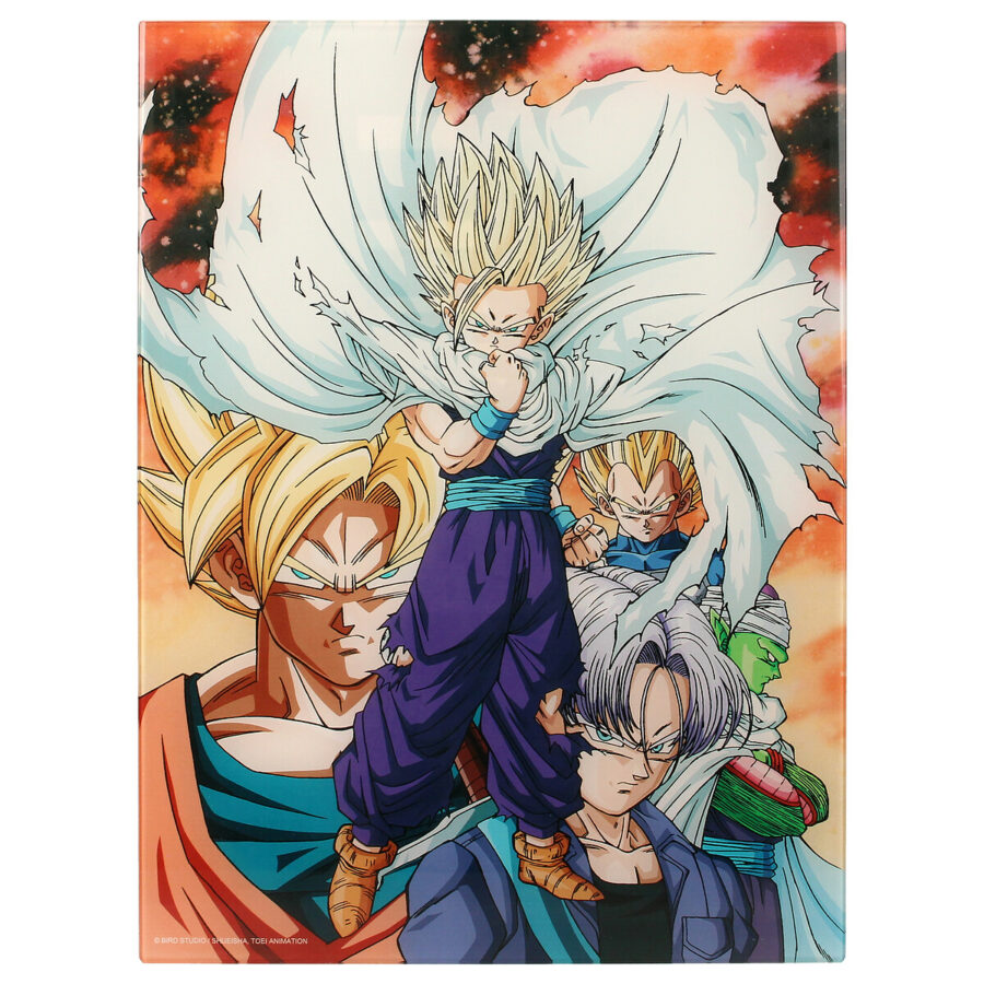 POSTER DE VIDRIO HEROES VS CELL DRAGON BALL Z 30X40 CM