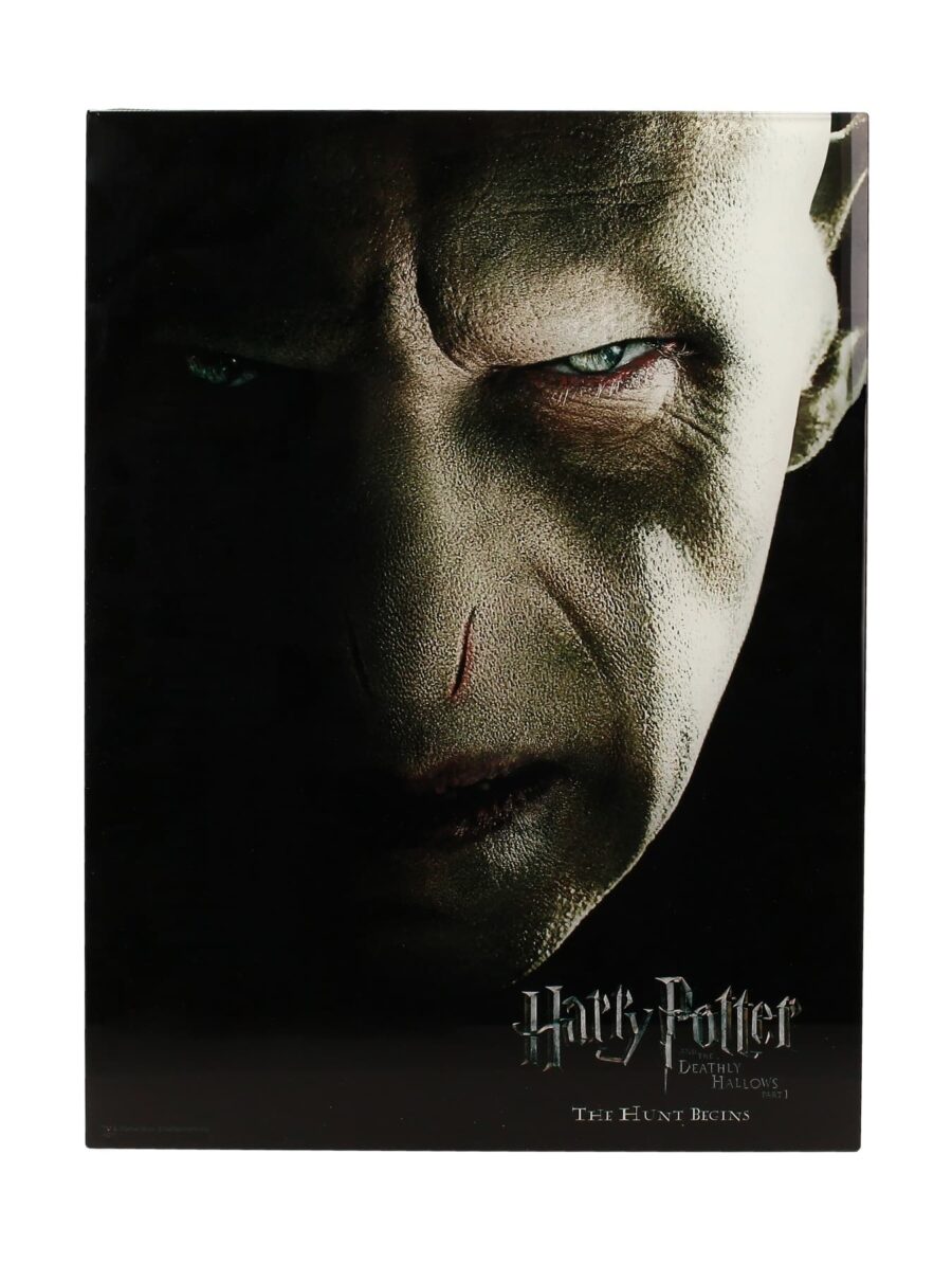 POSTER DE VIDRIO CARA VOLDEMORT 30X40 HARRY POTTER