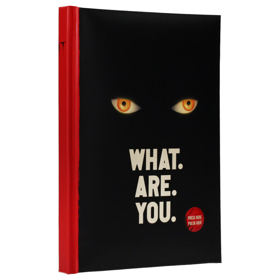 WHAT ARE YOU LIBRETA CON LUZ WELCOME TO DERRY