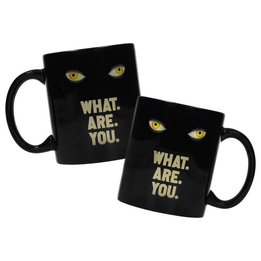 WHAT ARE YOU TAZA CERÁMICA WELCOME TO DERRY